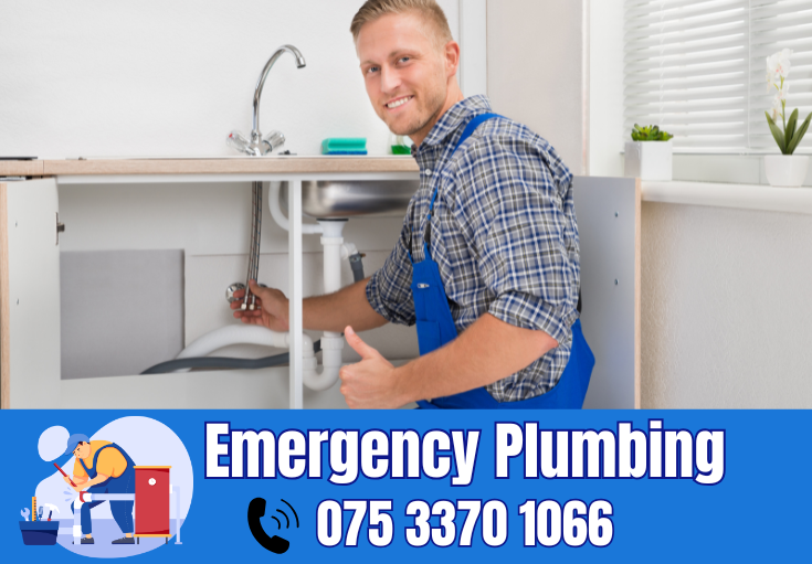  plumber Sheerness