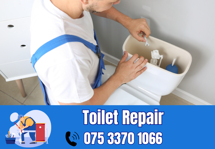 toilet repair Minster